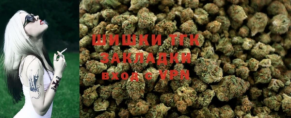 соль ск Медногорск