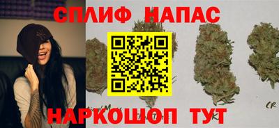 apvp Аргун