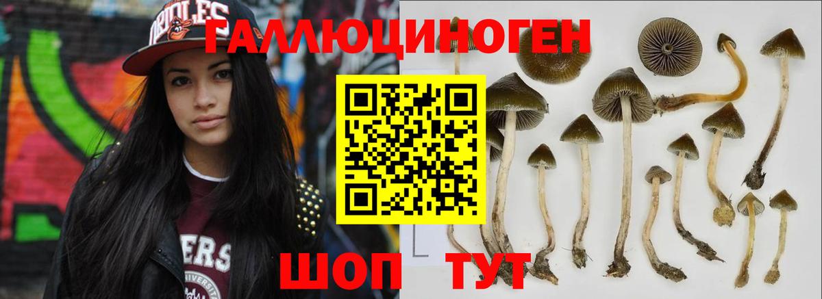 Галлюциногенные грибы MAGIC MUSHROOMS Борисоглебск